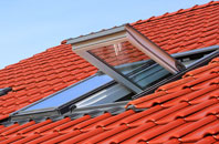 Drellingore roof window
